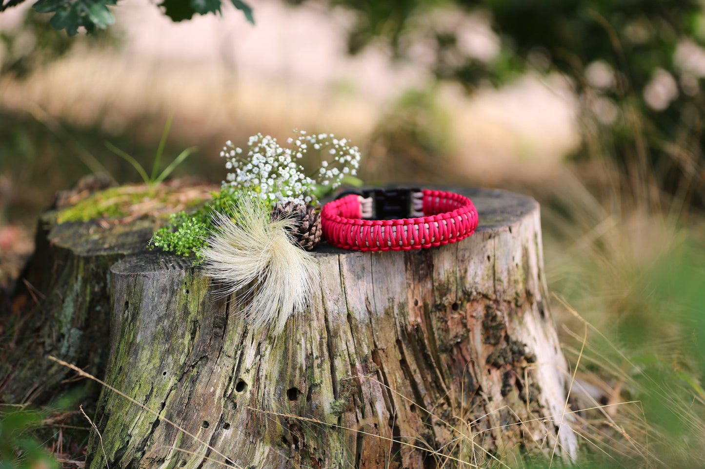 Individuelles Halsband "Valencia" aus Paracord