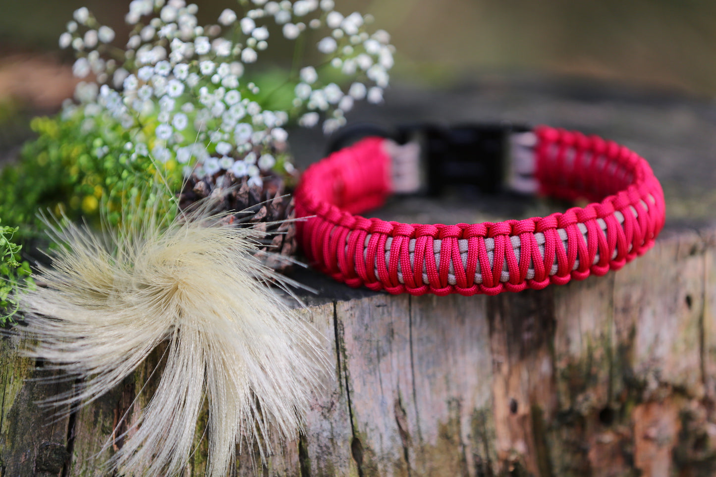 Individuelles Halsband "Valencia" aus Paracord
