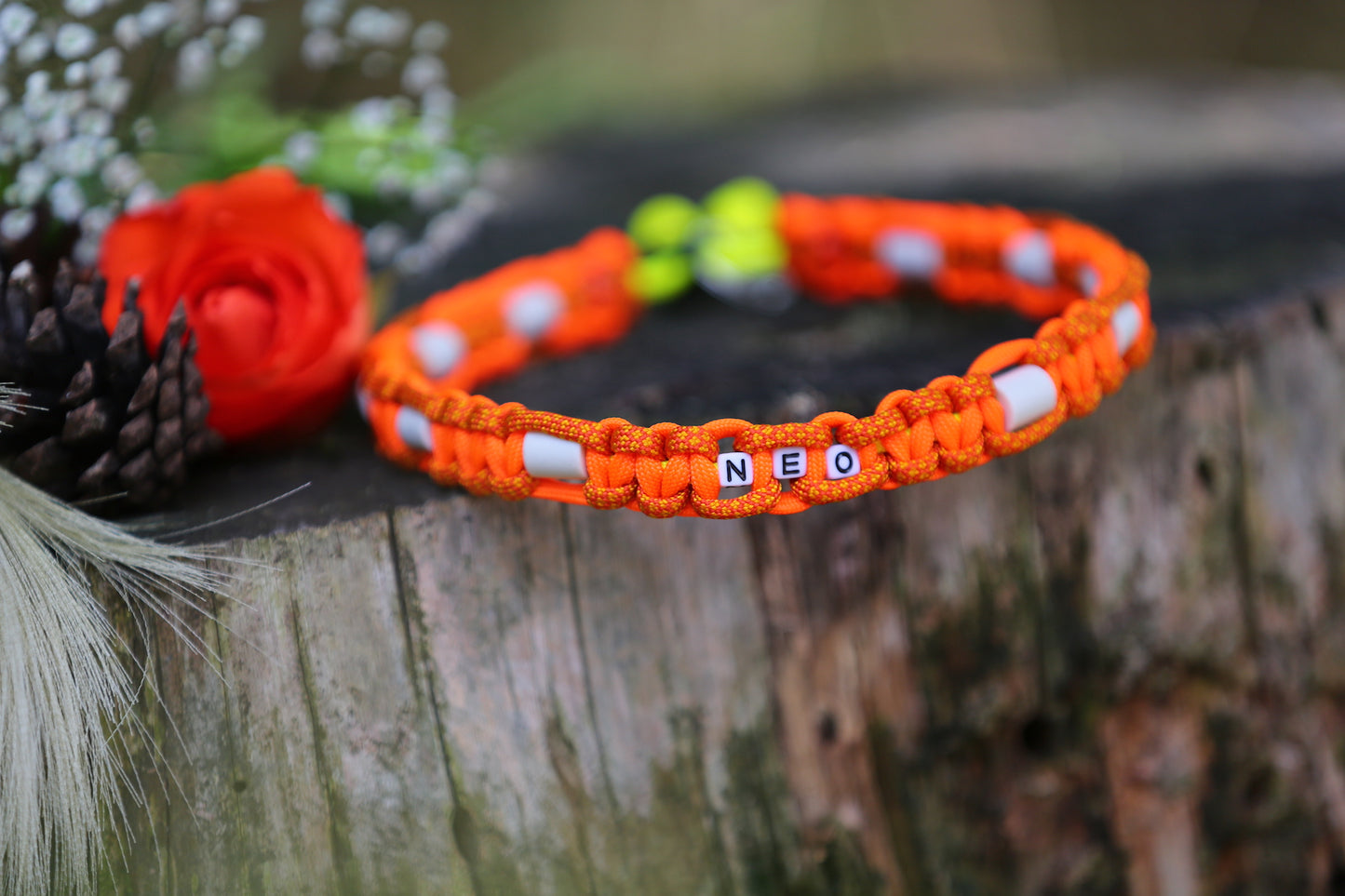 Individuelles Zeckenhalsband aus Paracord
