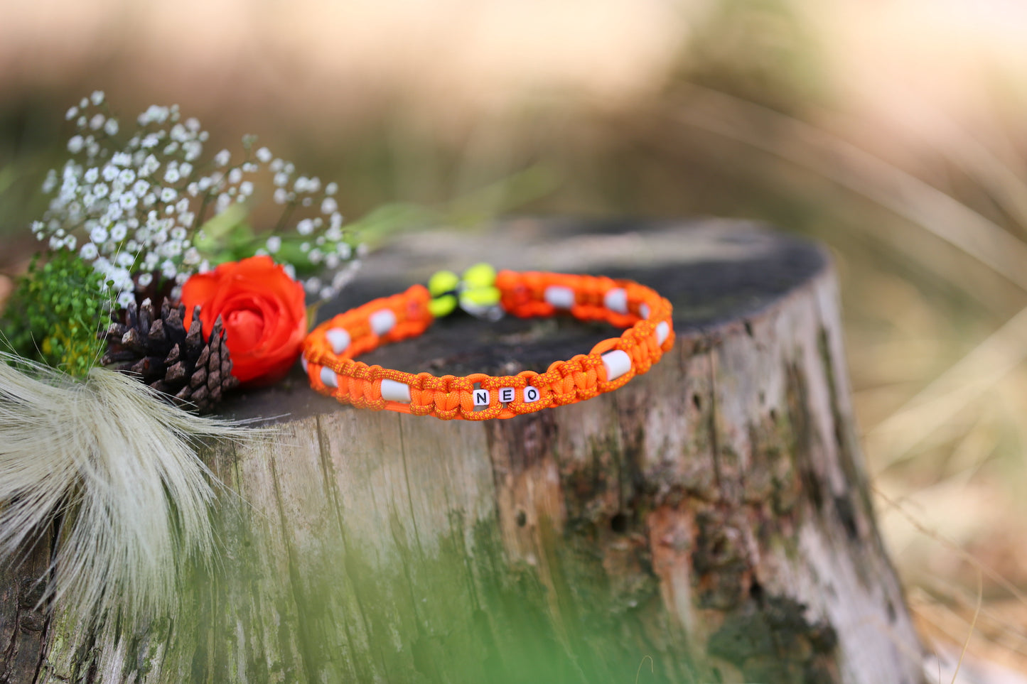 Individuelles Zeckenhalsband aus Paracord