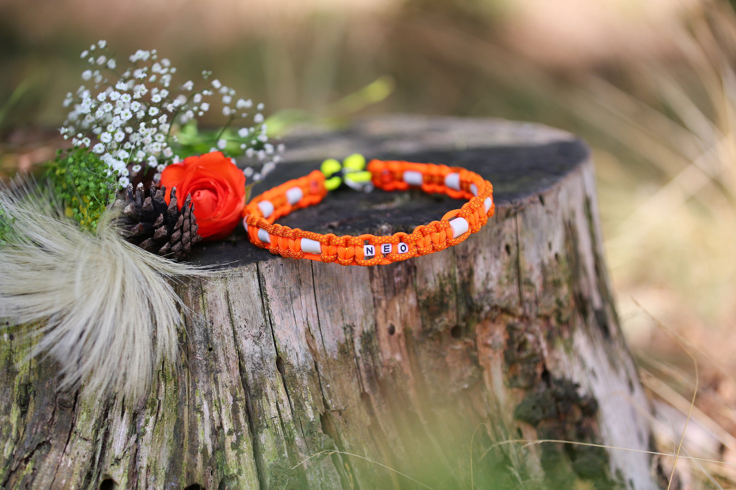 Individuelles Zeckenhalsband aus Paracord