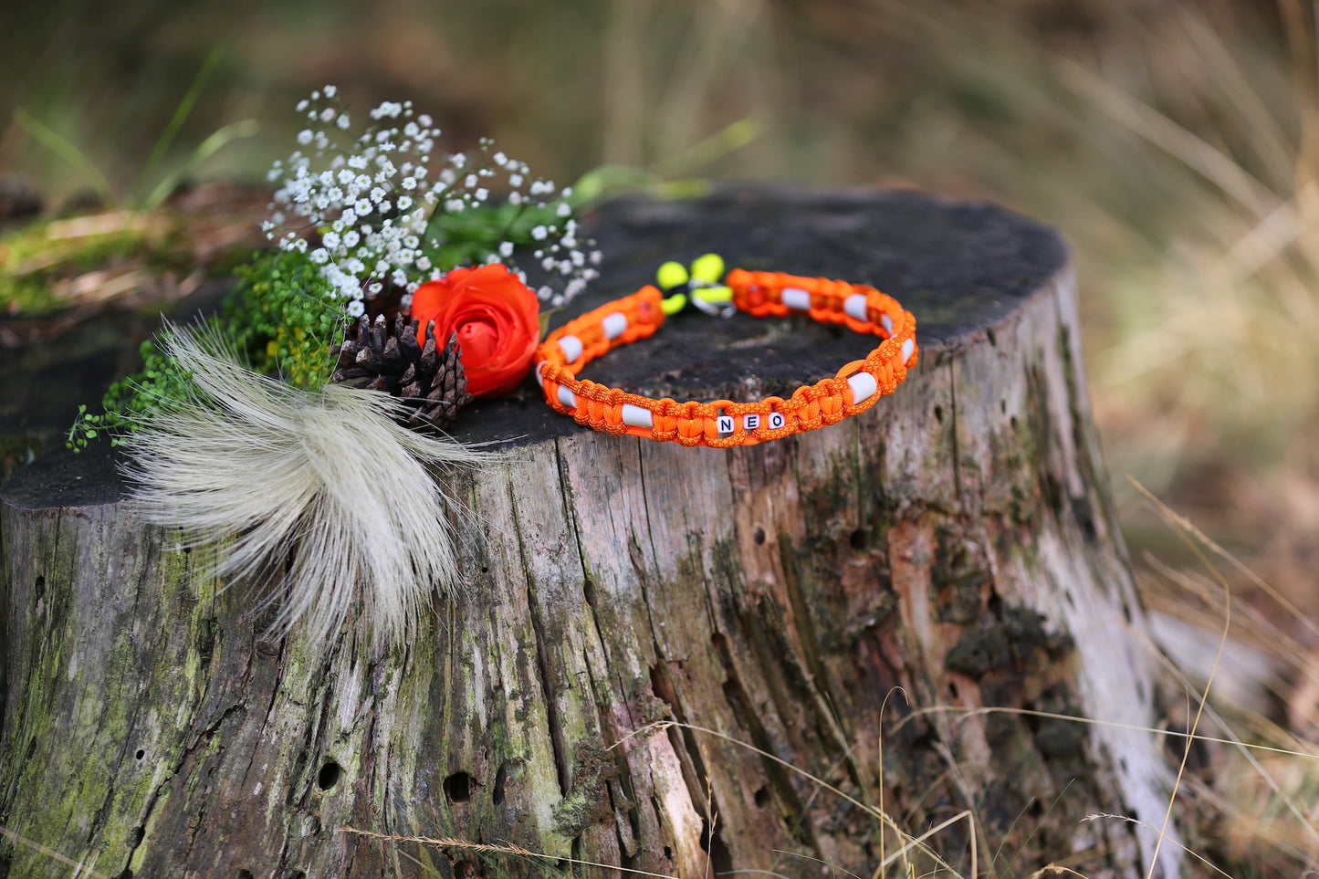Individuelles Zeckenhalsband aus Paracord