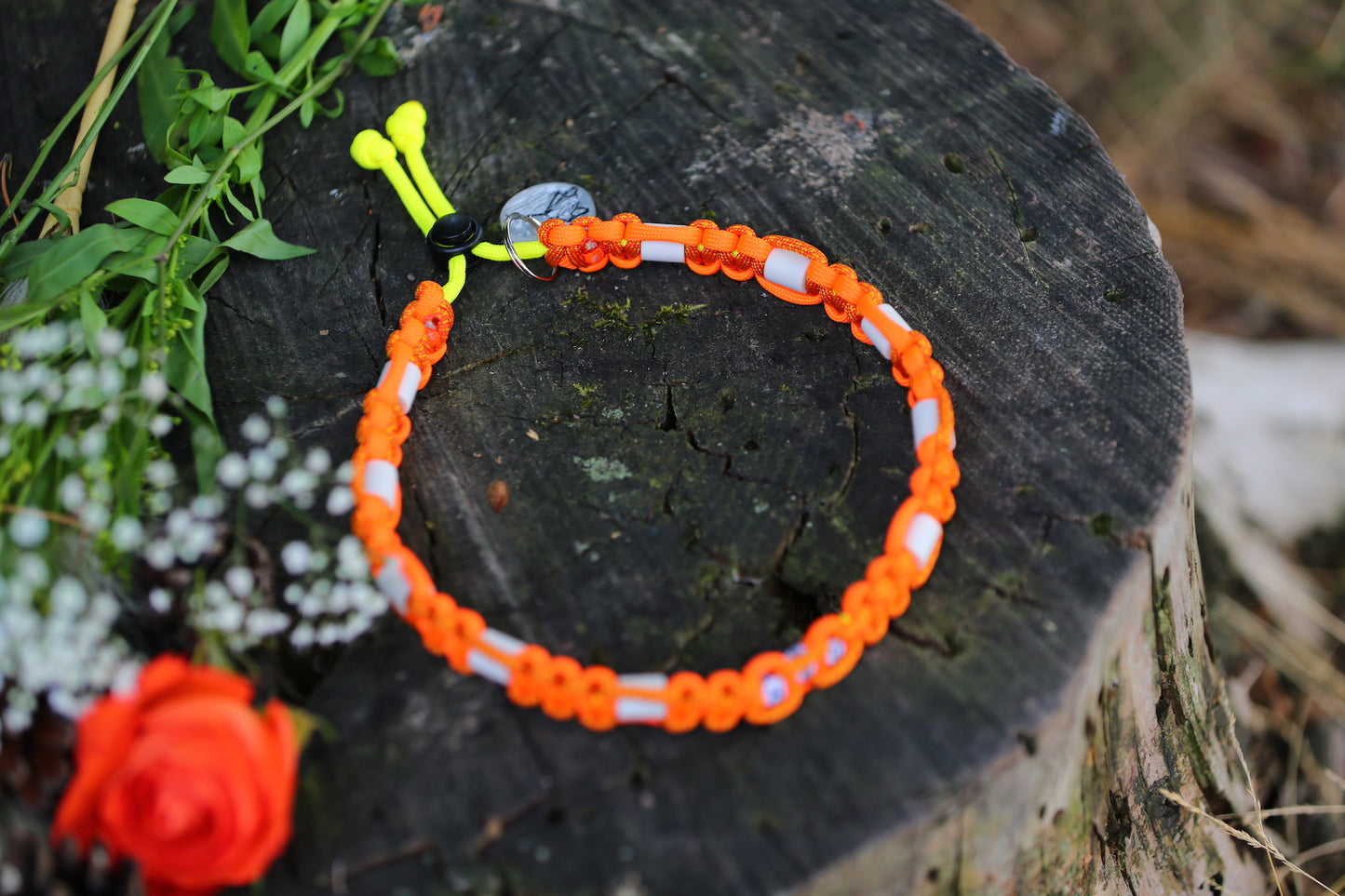 Individuelles Zeckenhalsband aus Paracord