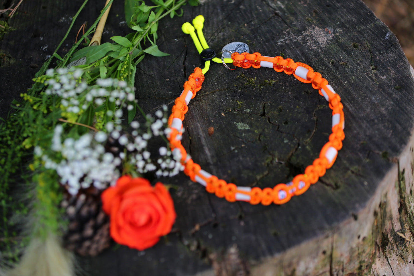 Individuelles Zeckenhalsband aus Paracord