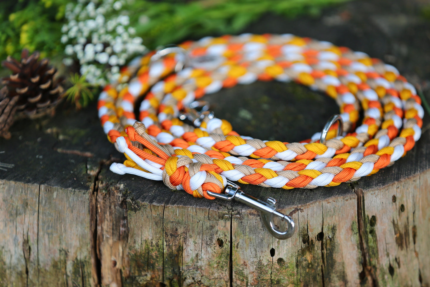 Sofortkaufleine aus Paracord für mittlere Hunde von 8-25 kg / 250 cm