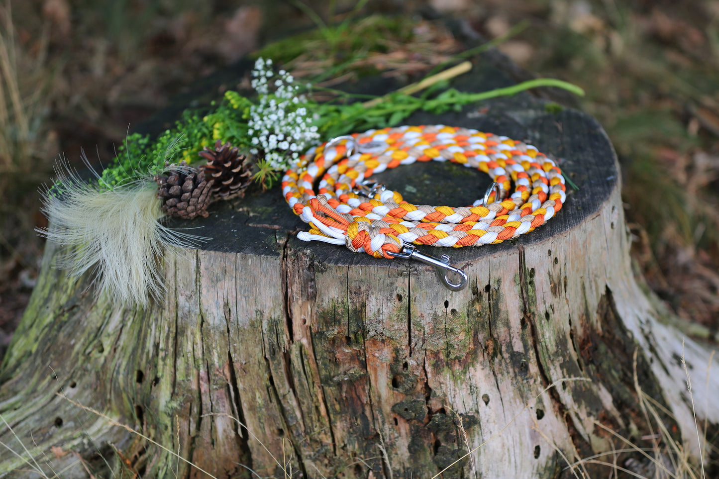 Sofortkaufleine aus Paracord für mittlere Hunde von 8-25 kg / 250 cm