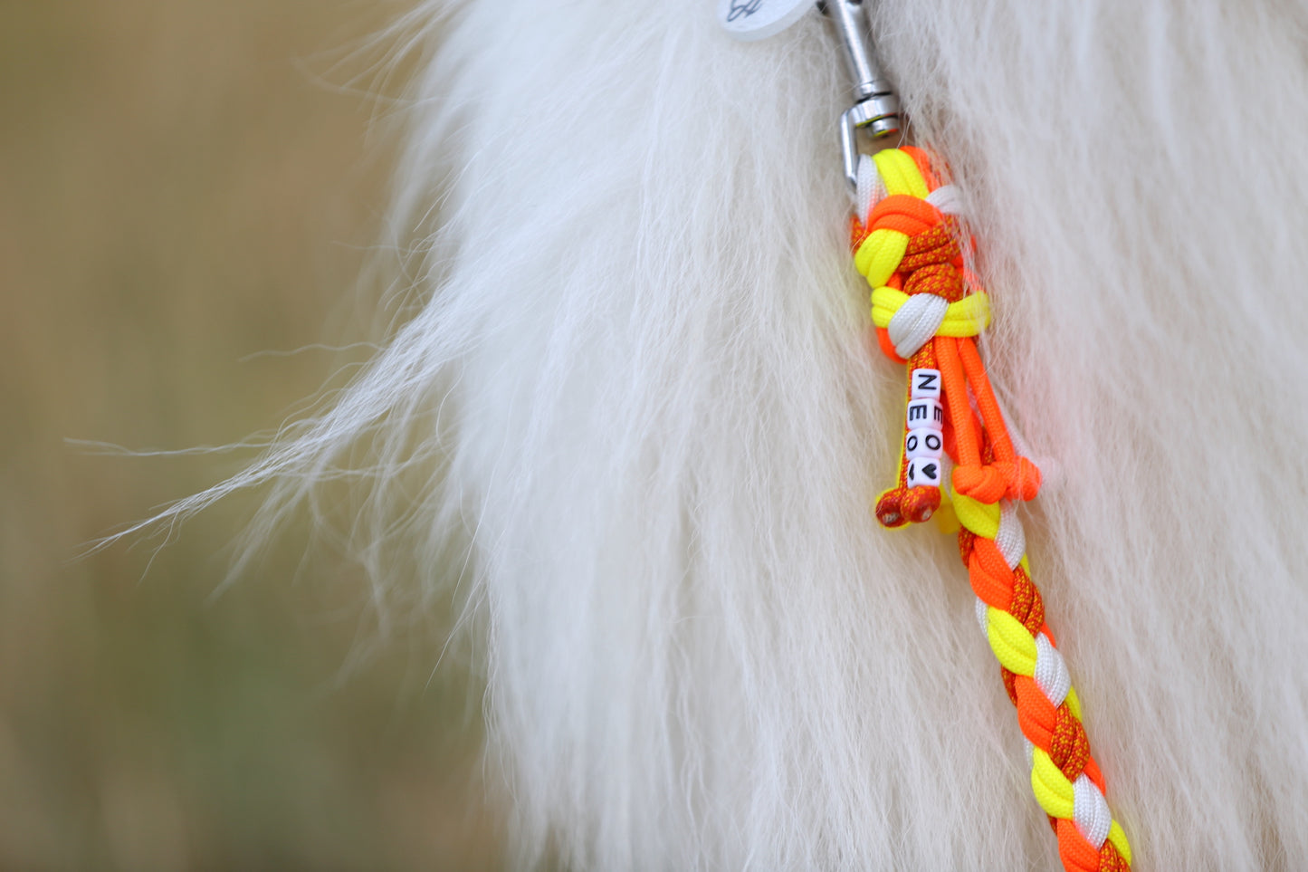 Individuelle Hundeleine aus Paracord für mittlere bis große Hunde