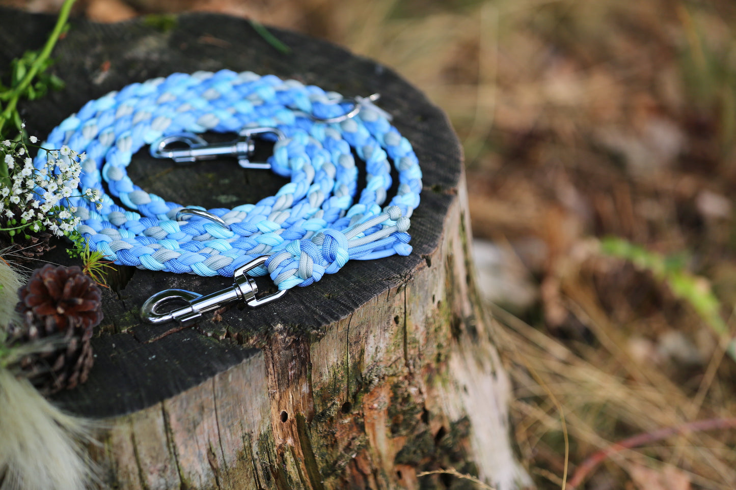 Individuelle Hundeleine aus Paracord für mittlere bis große Hunde