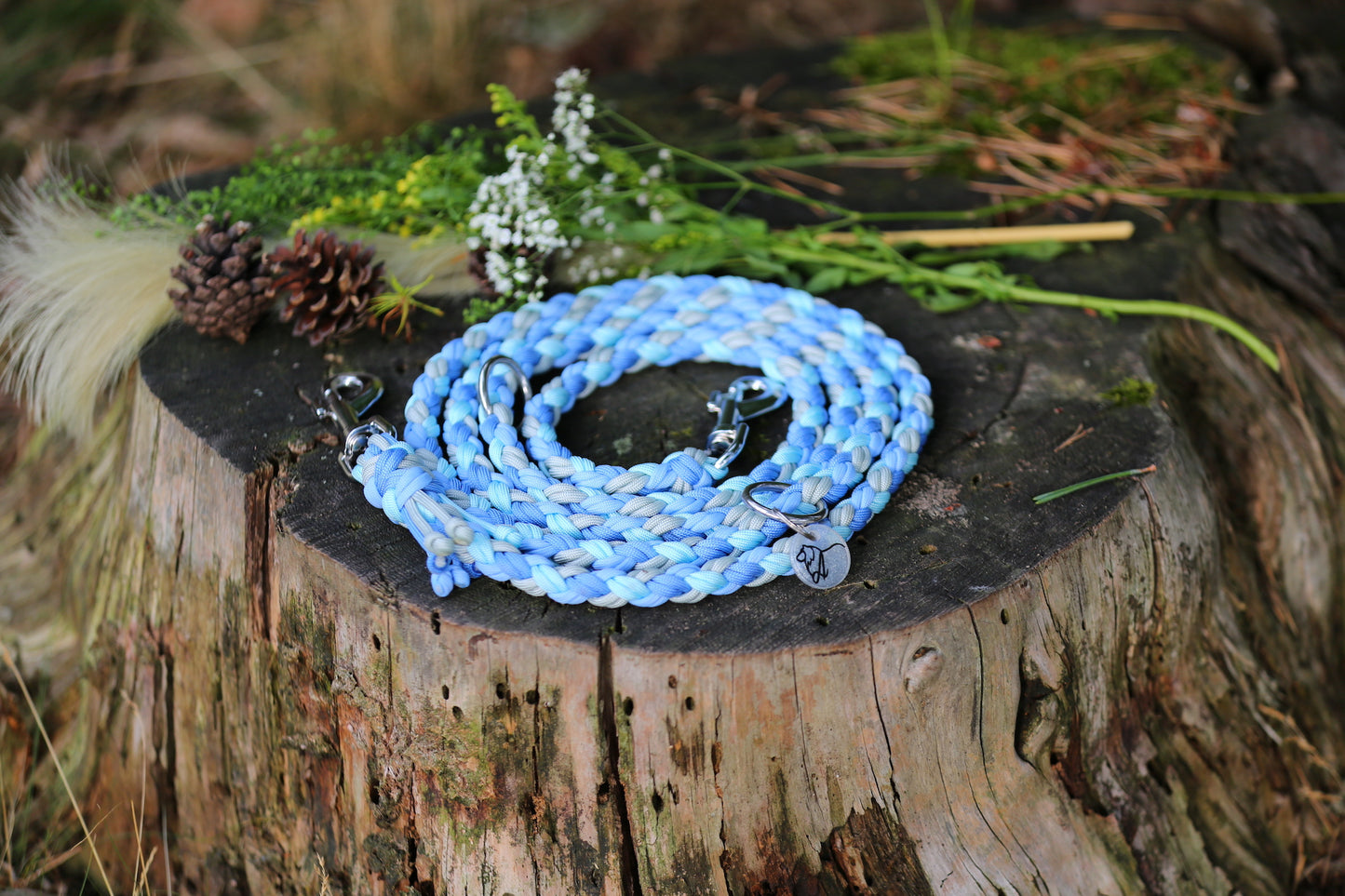 Individuelle Hundeleine aus Paracord für mittlere bis große Hunde