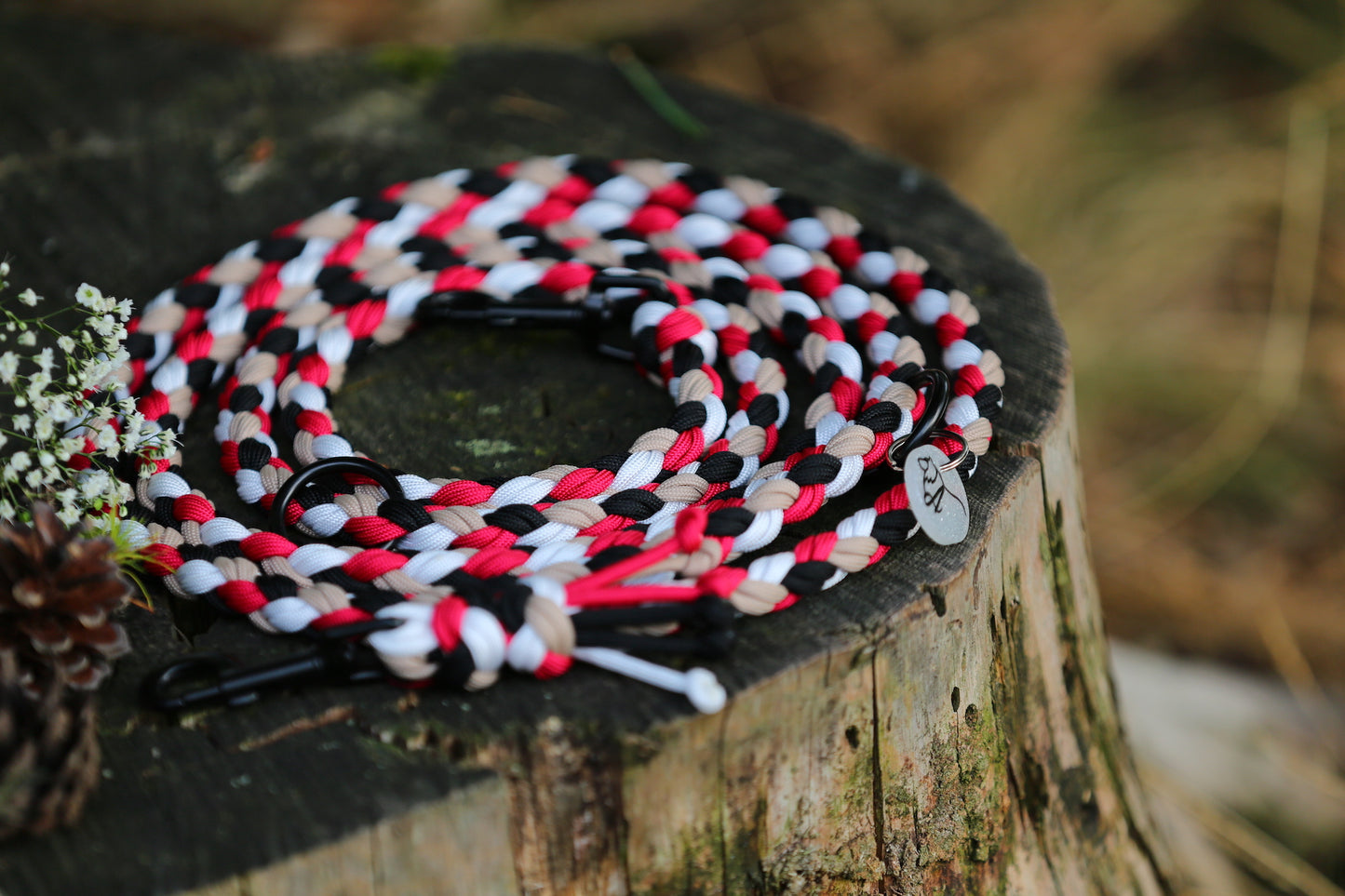 Sofortkaufleine aus Paracord für mittlere Hunde von 8-25 kg / 250 cm