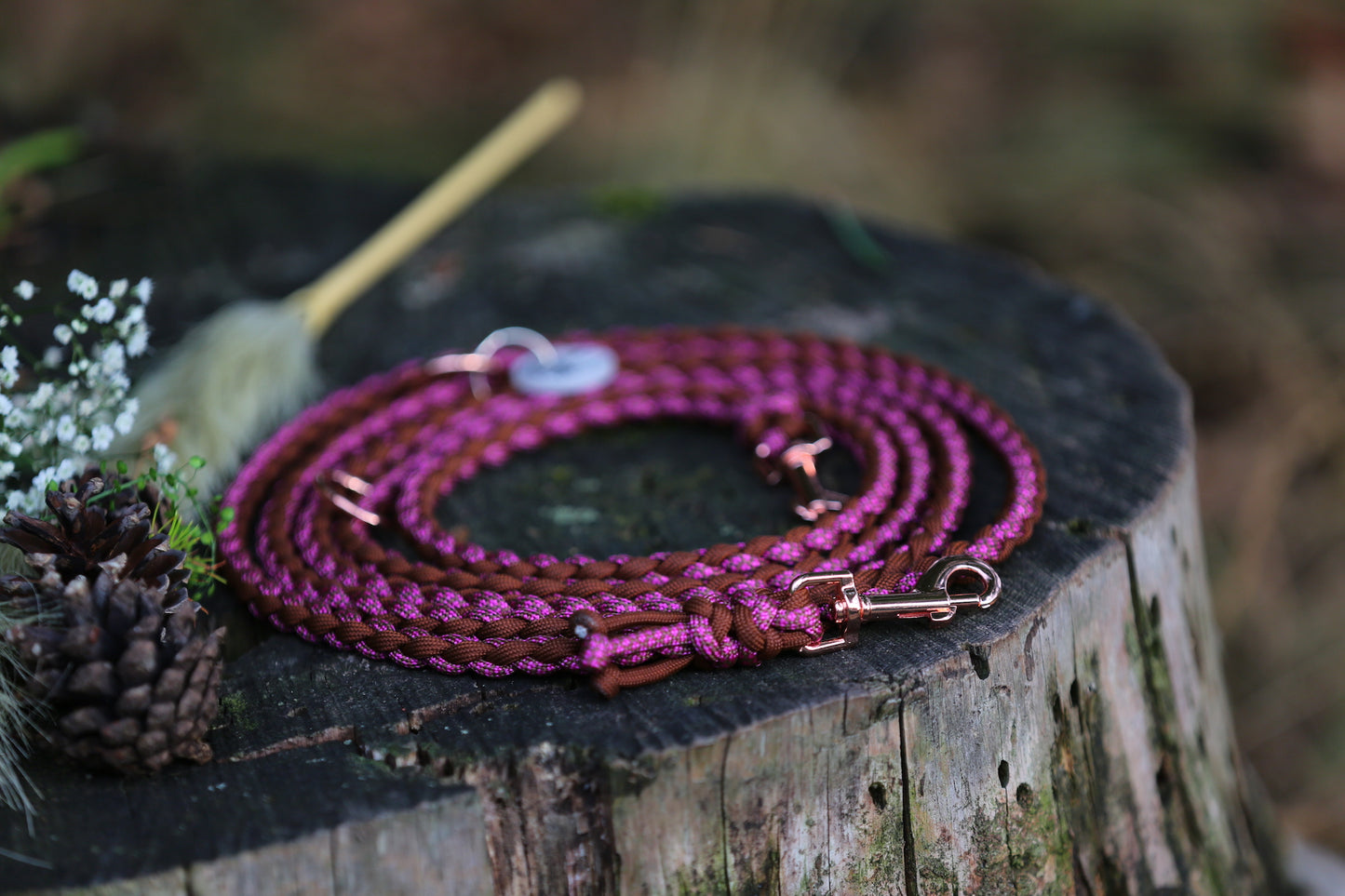 Individuelle Hundeleine aus Paracord für kleine Hunde