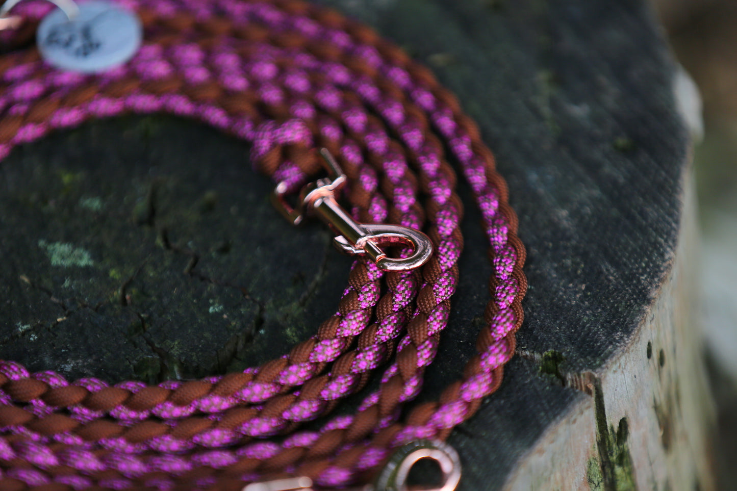Individuelle Hundeleine aus Paracord für kleine Hunde