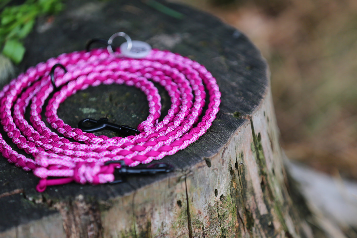 Sofortkaufleine aus Paracord für kleine Hunde bis 8 kg / 250 cm