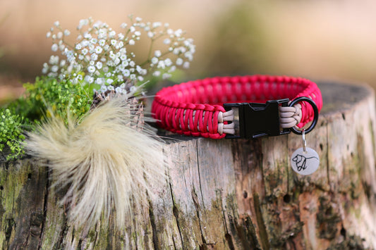 Individuelles Halsband "Valencia" aus Paracord