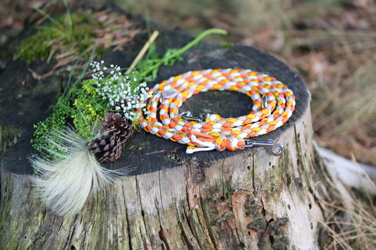 Sofortkaufleine aus Paracord für mittlere Hunde von 8-25 kg / 250 cm