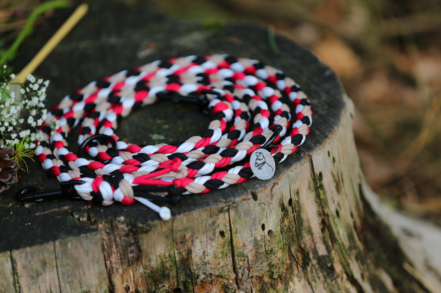 Sofortkaufleine aus Paracord für mittlere Hunde von 8-25 kg / 250 cm