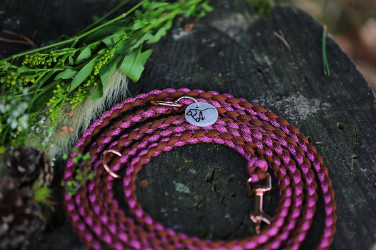 Individuelle Hundeleine aus Paracord für kleine Hunde